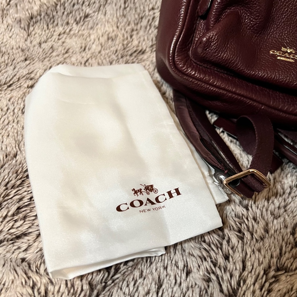 Coach Charlie Pebble Mini Leather Backpack - Picture 12 of 14